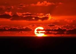 images_043